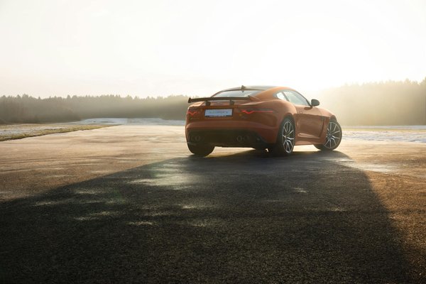 Software di trascrizione multilingue: efficienza e precisione garantite